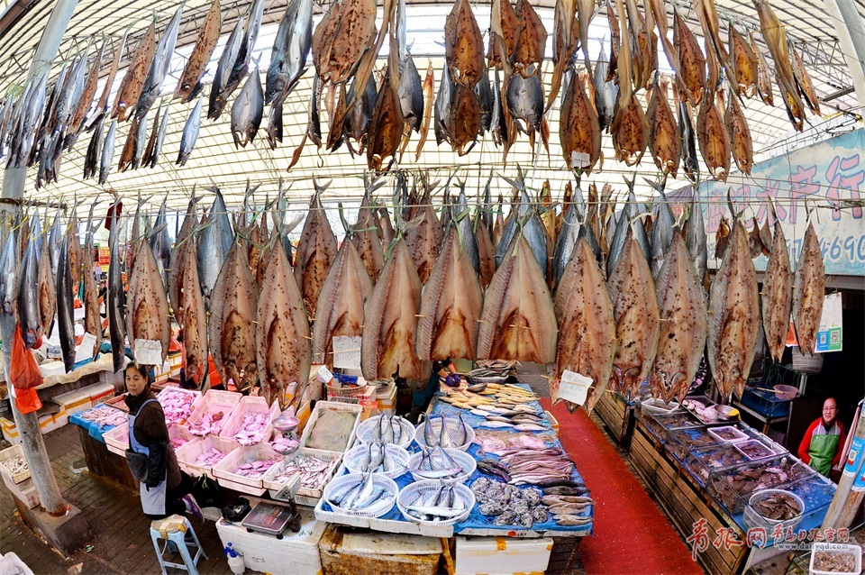 青島進(jìn)入秋鲅魚(yú)晾曬季 空中美味誘人味蕾(圖)