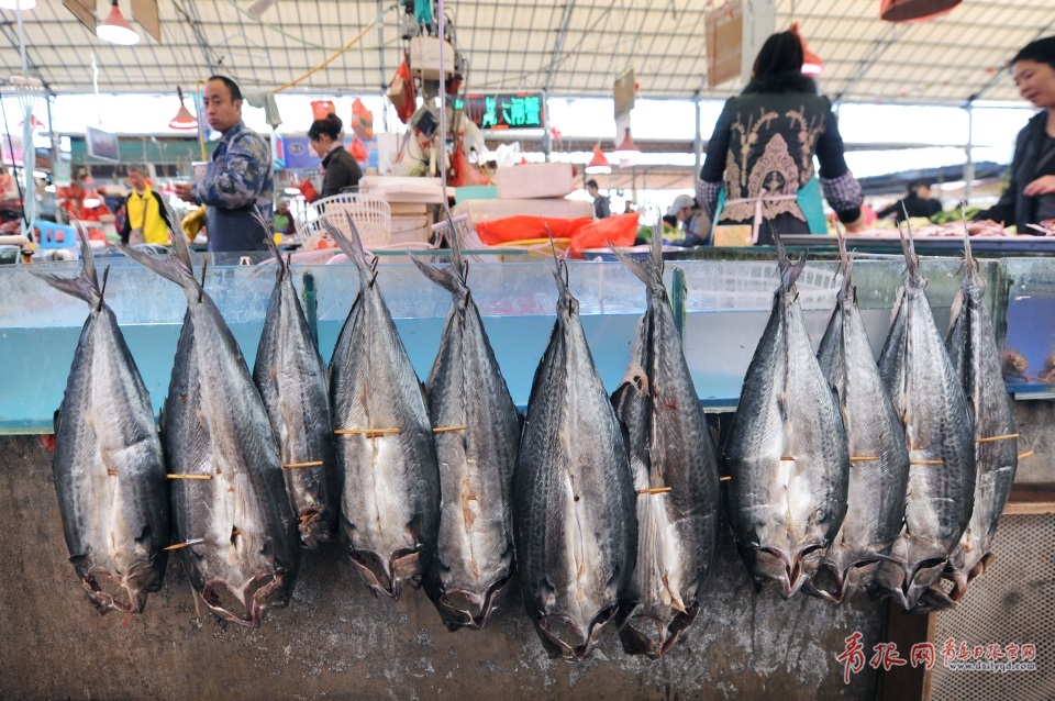 青島進(jìn)入秋鲅魚(yú)晾曬季 空中美味誘人味蕾(圖)
