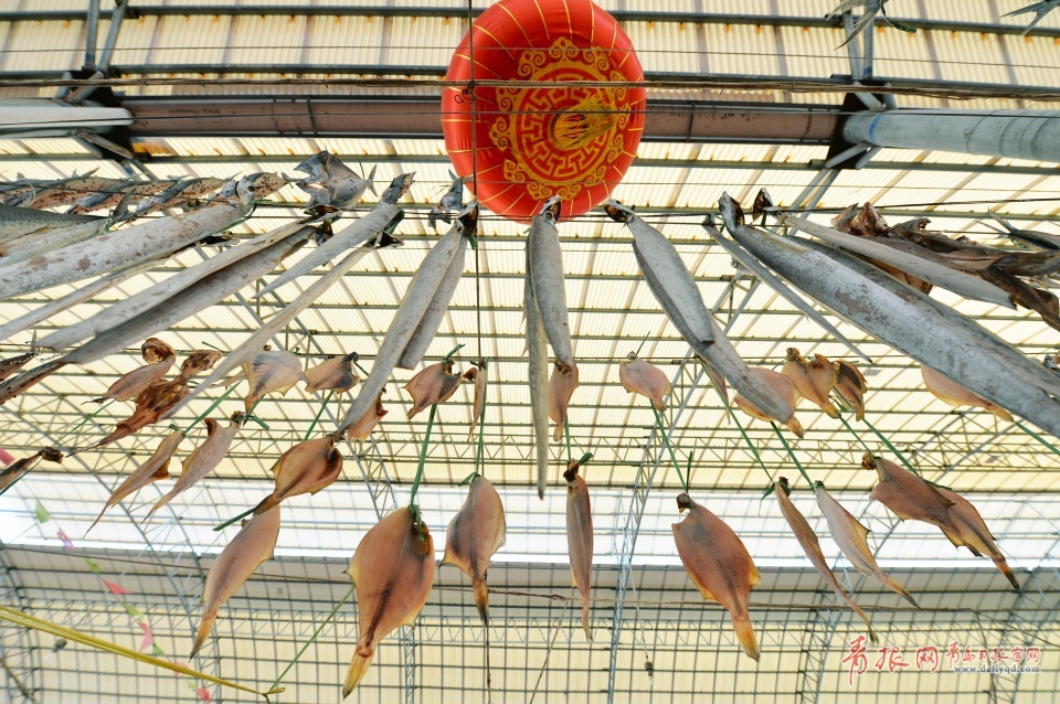 青島進(jìn)入秋鲅魚(yú)晾曬季 空中美味誘人味蕾(圖)
