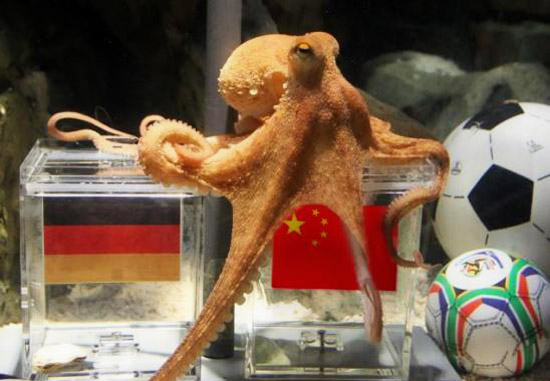 神準(zhǔn)章魚哥被網(wǎng)友PS惡搞半決賽中國(guó)贏德國(guó)？(圖)